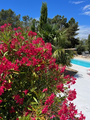 Property grounds - NATUR LODGE, bungalows and individual pool, natural site, exceptional view (ROMPON)