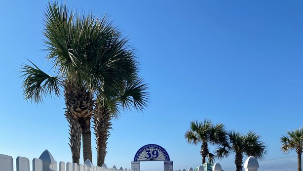 Un camino que lleva a la entrada de una playa, con un cartel que dice "39" y palmeras a ambos lados.
