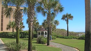 A landscaped area with palm trees, a gazebo, and a paved walkway.