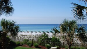 A beach view with palm trees, a fence, and a picnic table.