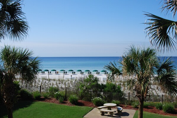 A beach view with palm trees, a fence, and a picnic table.
