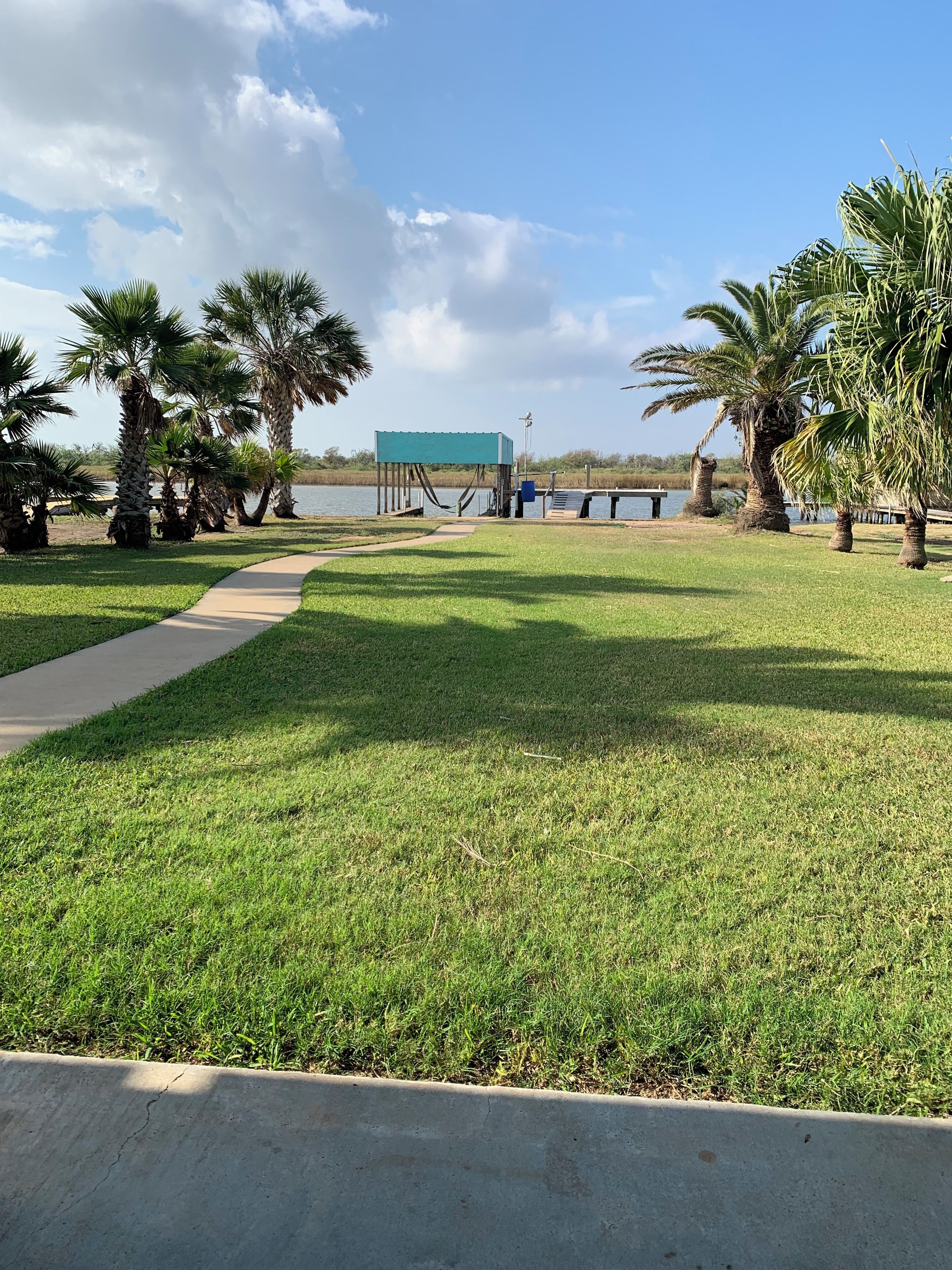 A grassy area with a concrete path leading to a dock, palm trees, and a blue structure by the water.