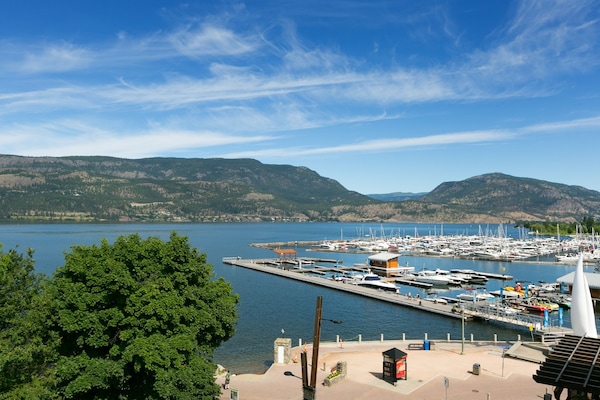 Marina right across the street for watercraft fun!