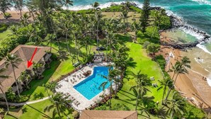 Vista aérea de un resort con piscina rodeada de palmeras, playa y vistas al océano.