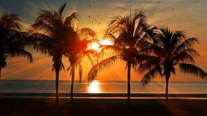 A beach scene with palm trees silhouetted against a sunset. - "Private Pool Oasis • 3-Min
Walk to Crystal Beach •
Tropical Escape" (Crystal Beach)