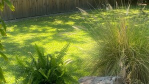 A garden with a stone pathway, a wooden fence, and various plants including ferns and grasses. - "Private Pool Oasis • 3-Min
Walk to Crystal Beach •
Tropical Escape" (Crystal Beach)