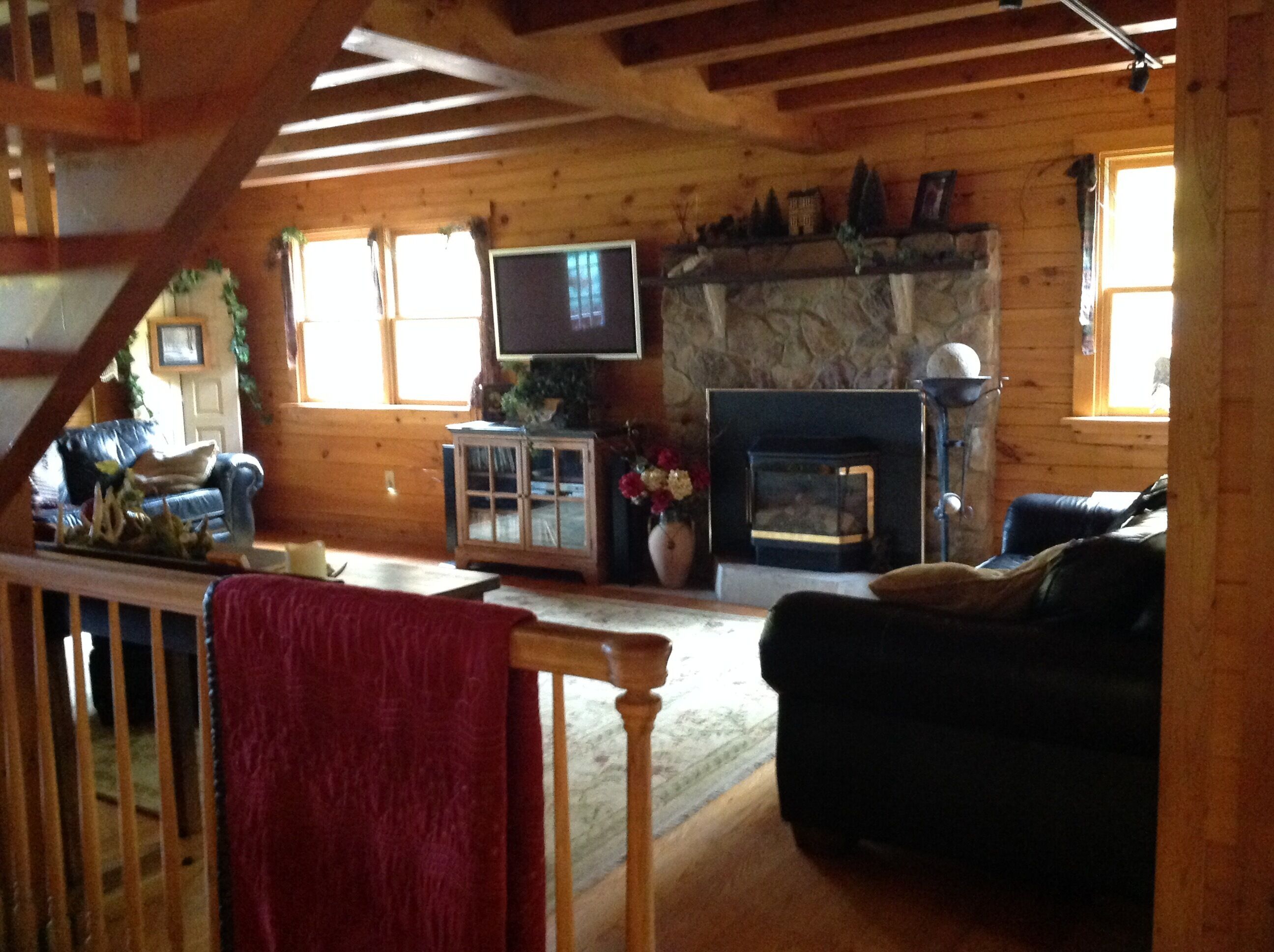 智能电视、壁炉、DVD 播放器、书