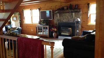 TV connectée, cheminée, lecteur de DVD, livres