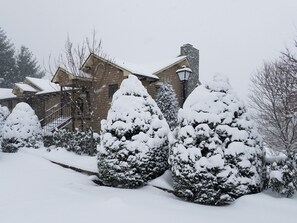 Paisagem coberta de neve com uma casa, chaminé e árvores carregadas de neve.