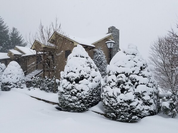 A snow-covered landscape with a house, a chimney, and snow-laden trees.