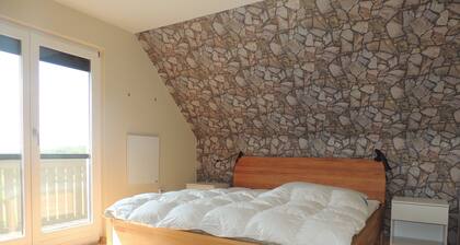 Cozy house situated in a vineyard with view on the lake