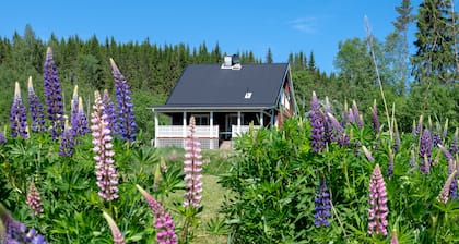 Idyllic sunny lakeside location with only 20 m to the private jetty and boat.
