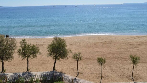 Une plage avec un rivage sablonneux, quelques arbres et des voiliers à l’horizon.
