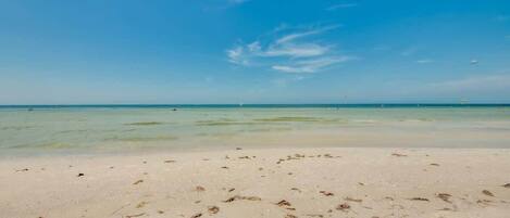 Playa