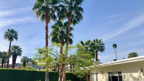 A modern building with a pathway leading to a white door, surrounded by palm trees and a neatly trimmed hedge.