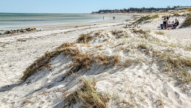 A sandy beach with dunes and a picnic table.