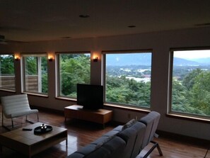 Smart TV, fireplace, DVD player