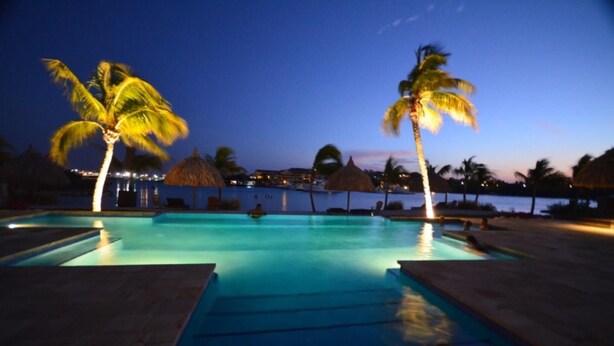 A swimming pool with a view of the sea at dusk, surrounded by palm trees and a thatched-roof structure.