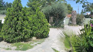 Un jardín con un sendero de piedra que lleva a una casa.