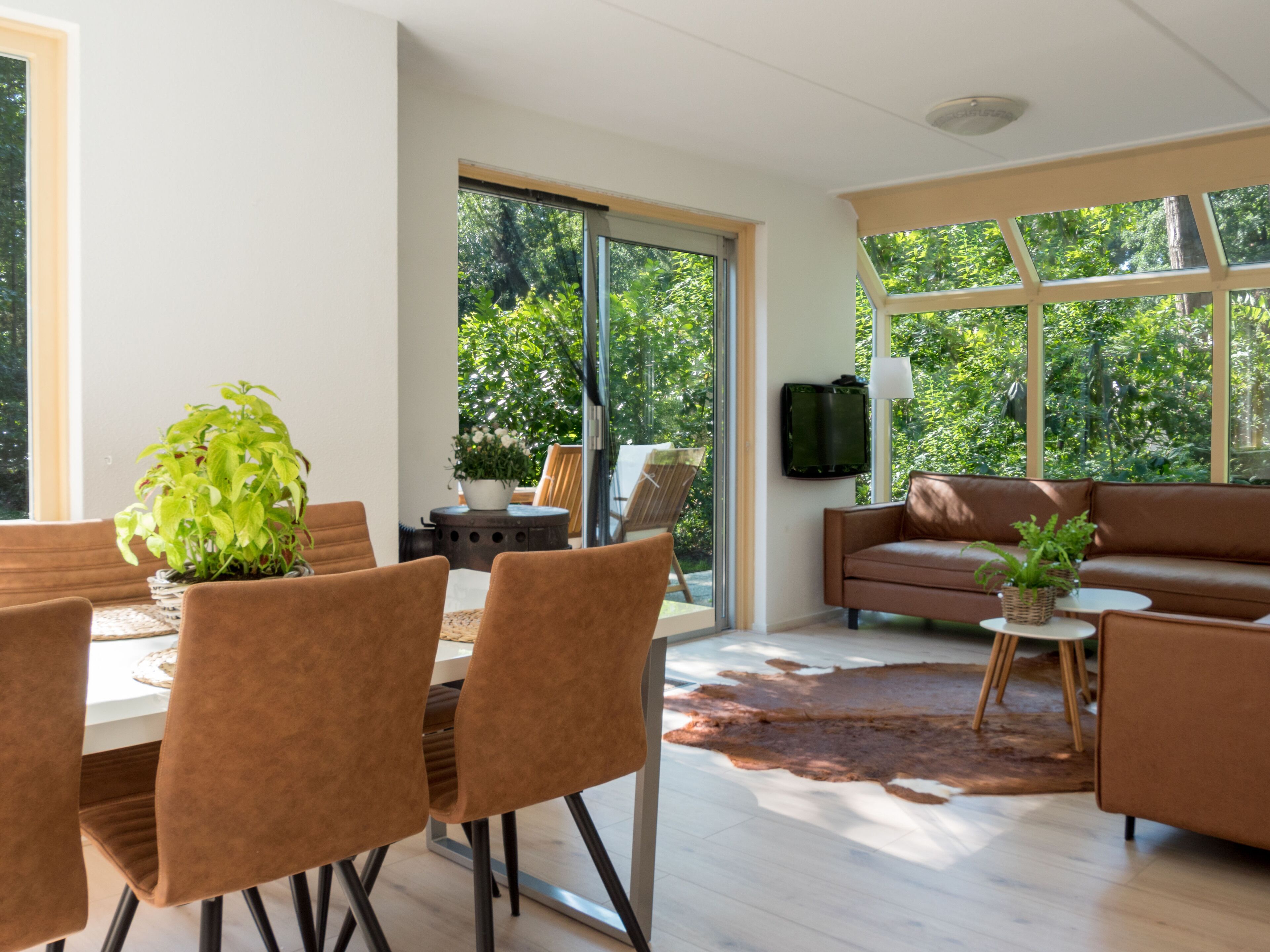 تلفزيون، مدفأة، ألعاب فيديو، مشغل دي في دي