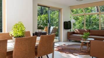 Télévision, cheminée, jeux vidéo, lecteur de DVD