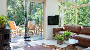 Televisio, takka, videopelejä, DVD-soitin