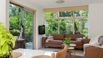 Télévision, cheminée, jeux vidéo, lecteur de DVD