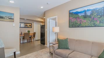 Smart TV, chimenea y libros