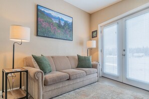 Smart TV, fireplace, books