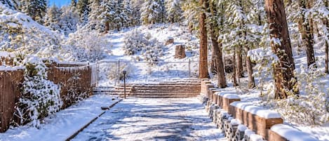 Un sendero cubierto de nieve que atraviesa un área boscosa, con una cerca de madera a un lado y un muro de piedra al otro.