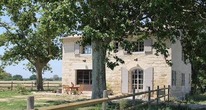 Le Mazet De Jean en Camargue