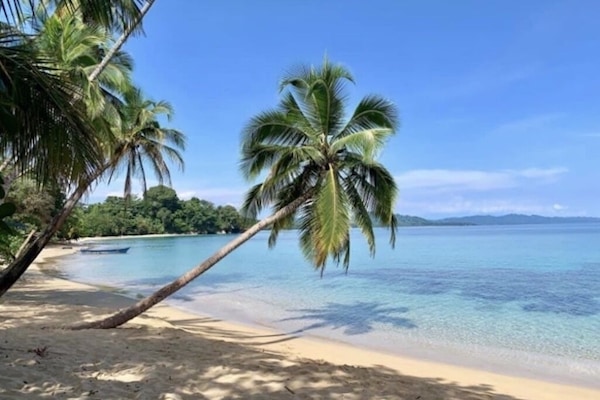 Nær stranden og strandhåndklær