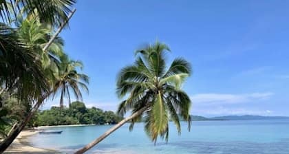 Spacieux, belle maison w / Pool, AC, 3 'Ă la plage