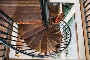 Property grounds - Renovated 1850s Mansion in Downtown (Charleston)