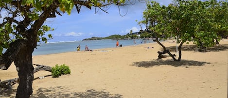 Plage à proximité