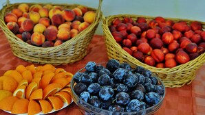Three baskets of fruits and a bowl of blueberries on a table. - Aktinia (Nessebar)