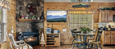 Télévision, cheminée, lecteur de DVD