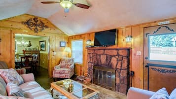 TV connectée, cheminée, lecteur de DVD, livres