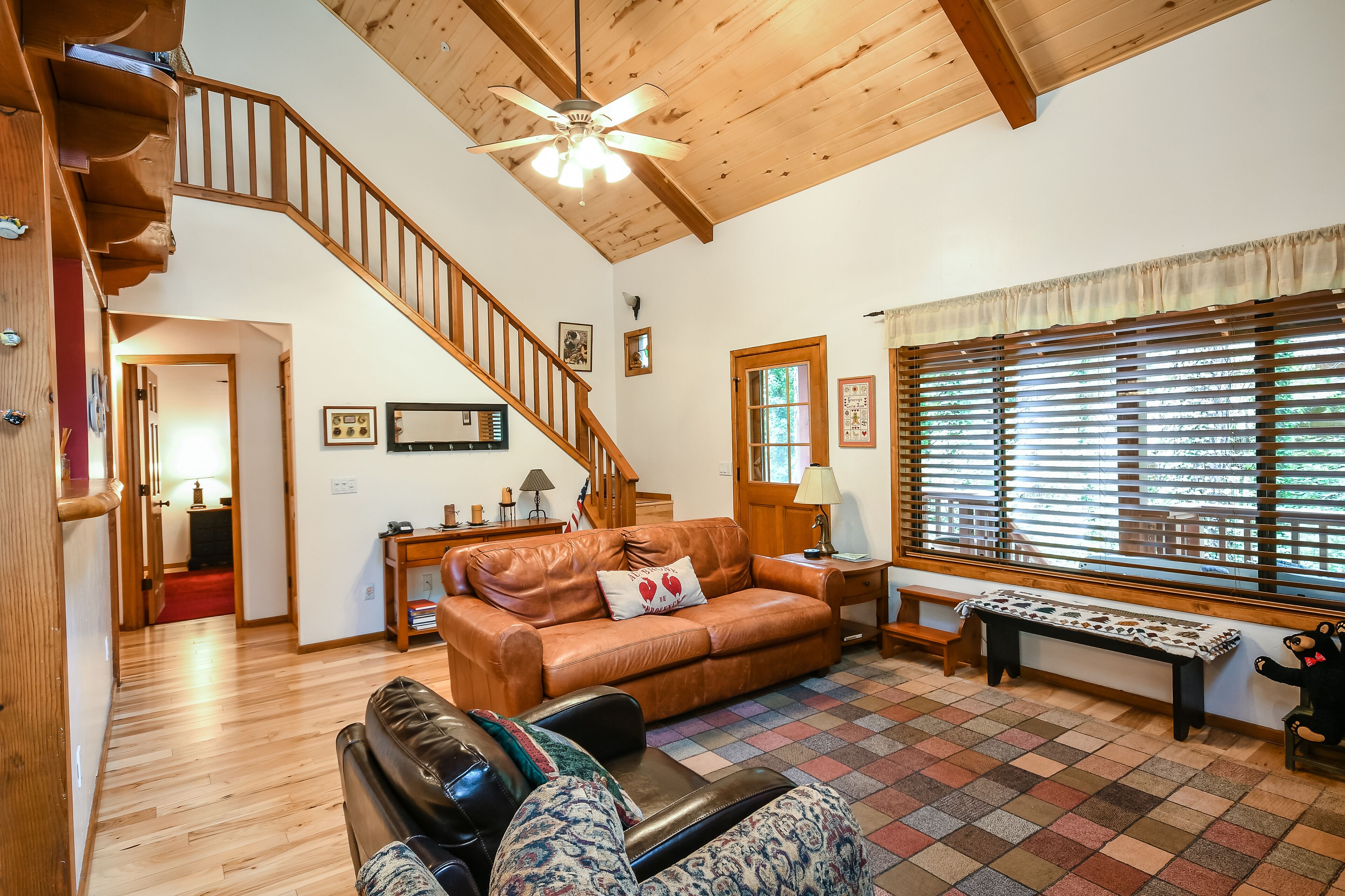 TV connectée, cheminée, lecteur de DVD, livres