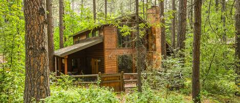 A rustic cabin surrounded by dense forest.