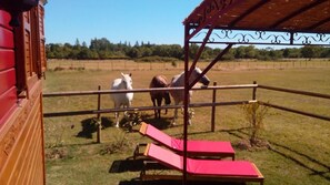สนามรอบบริเวณ