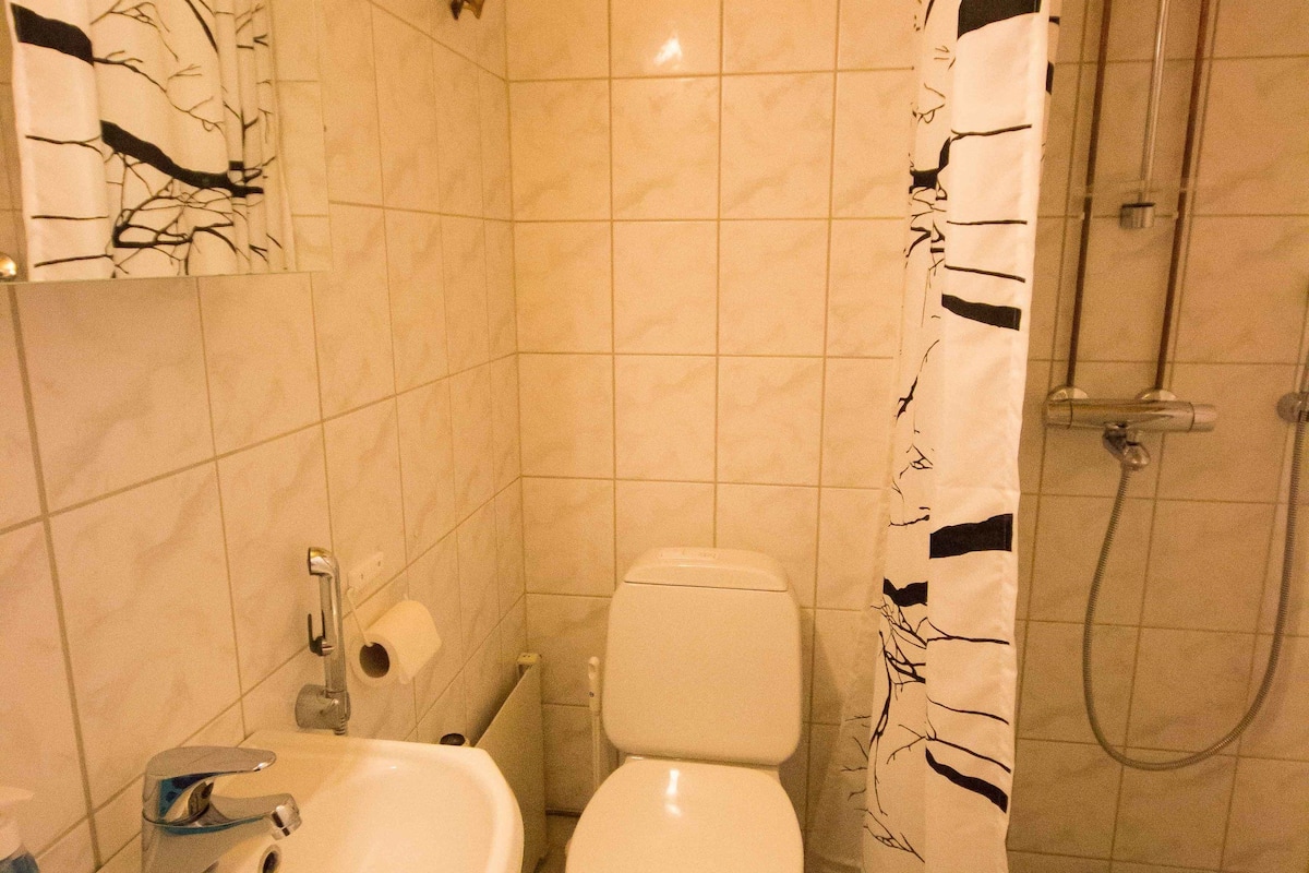 room | bathroom | shower, free toiletries, hair dryer, bidet
