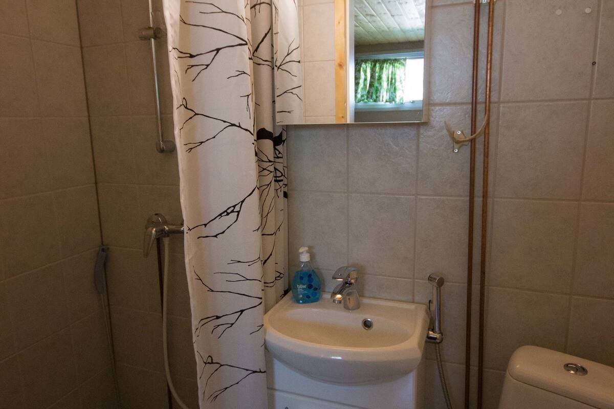 twin room, lakeside | bathroom | shower, free toiletries, hair dryer, bidet