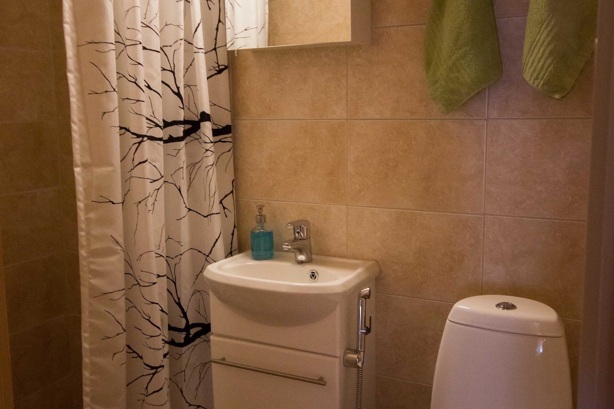 studio, kitchenette | bathroom | shower, free toiletries, hair dryer, bidet