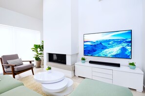 Smart TV, fireplace, DVD player, books