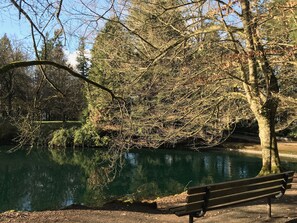 A park with a bench and a pond.
