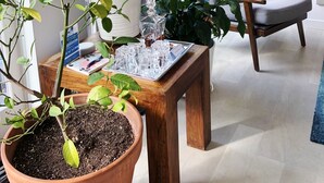 Ein modernes Wohnzimmer mit großen Fenstern, einem Holztisch, einem grauen Sessel und mehreren Kübelpflanzen.