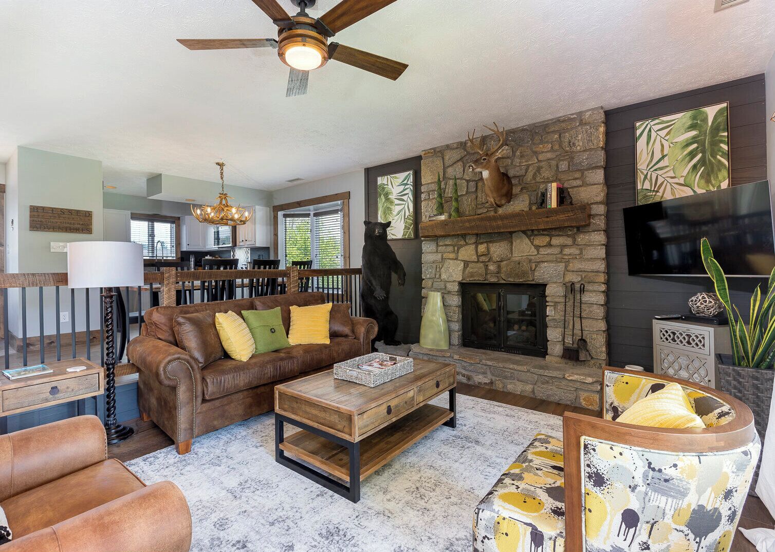 TV connectée, cheminée, livres