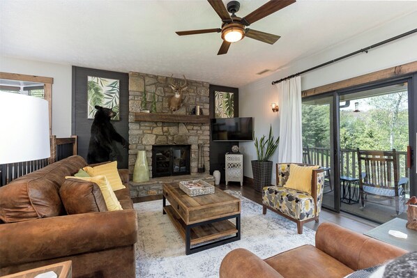 Smart TV, fireplace, books