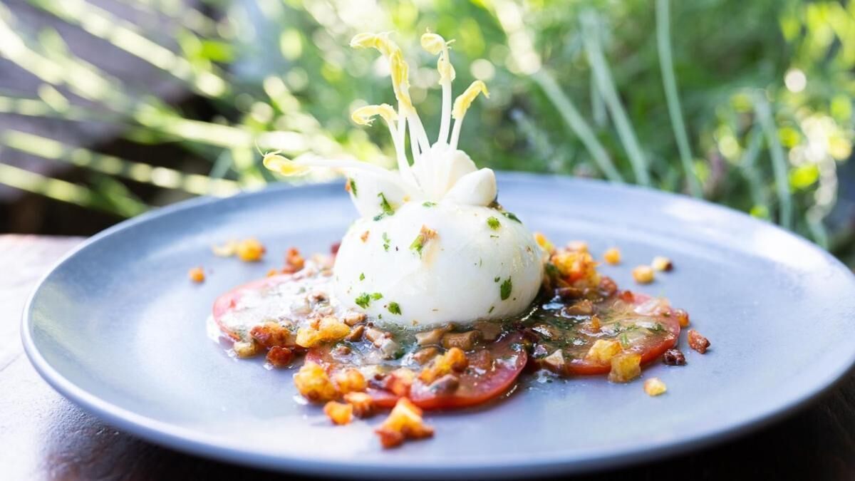 Ein Teller mit einer weißen, kugelförmigen Hauptzutat, garniert mit Kräutern, dazu eine Tomatensauce und gewürfelte Zutaten.